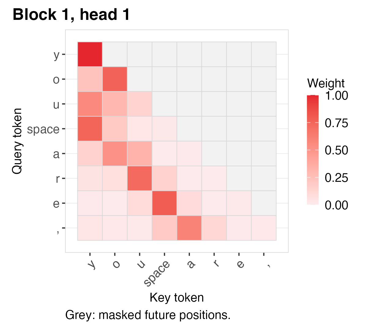Animation of learned causal attention weights across heads and Transformer blocks.