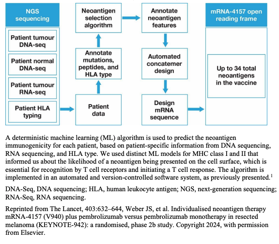Neoantigen selection algorithm overview