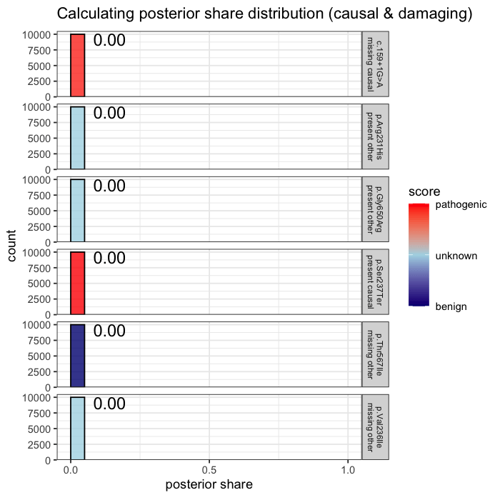 Quant animation 2