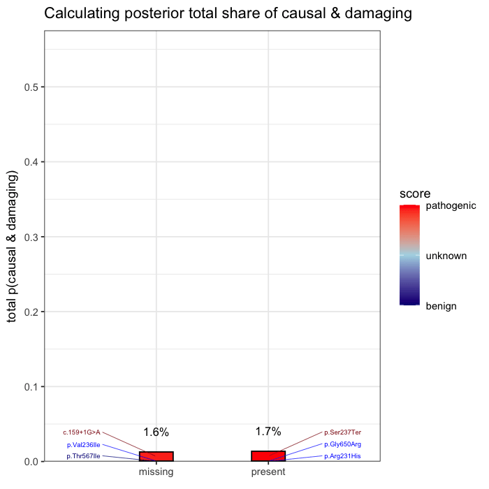Quant animation 3